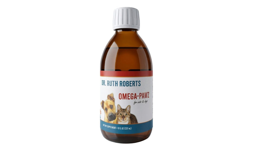 Summer Nutrition for Pets: Why Omega-3 Should Be Part of Their Routine