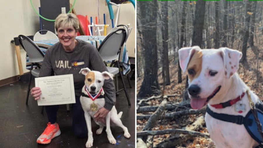 When Perfect Use Isn’t Possible: Paula and Joy’s Experience with PEMF Therapy