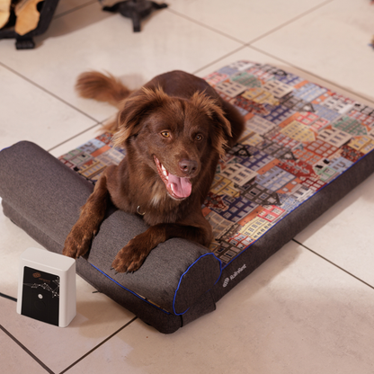Petspemf RollnRest Bed
