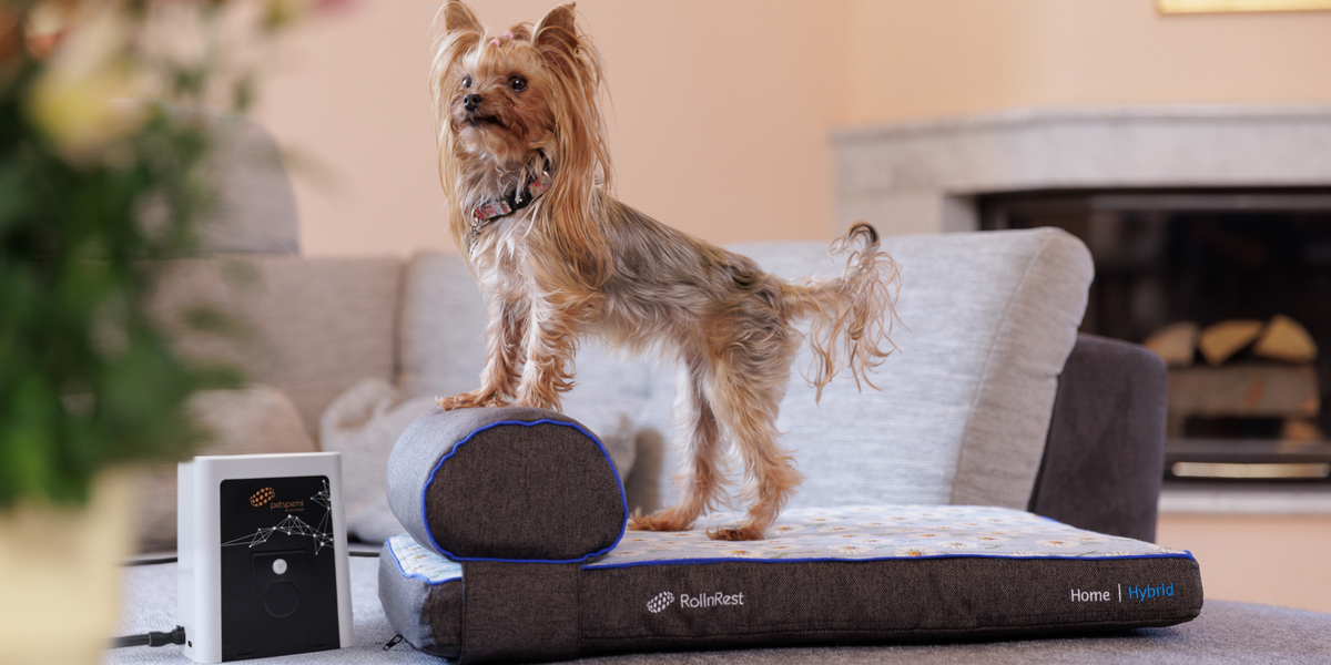 Dog on a Petspemf RollnRest®