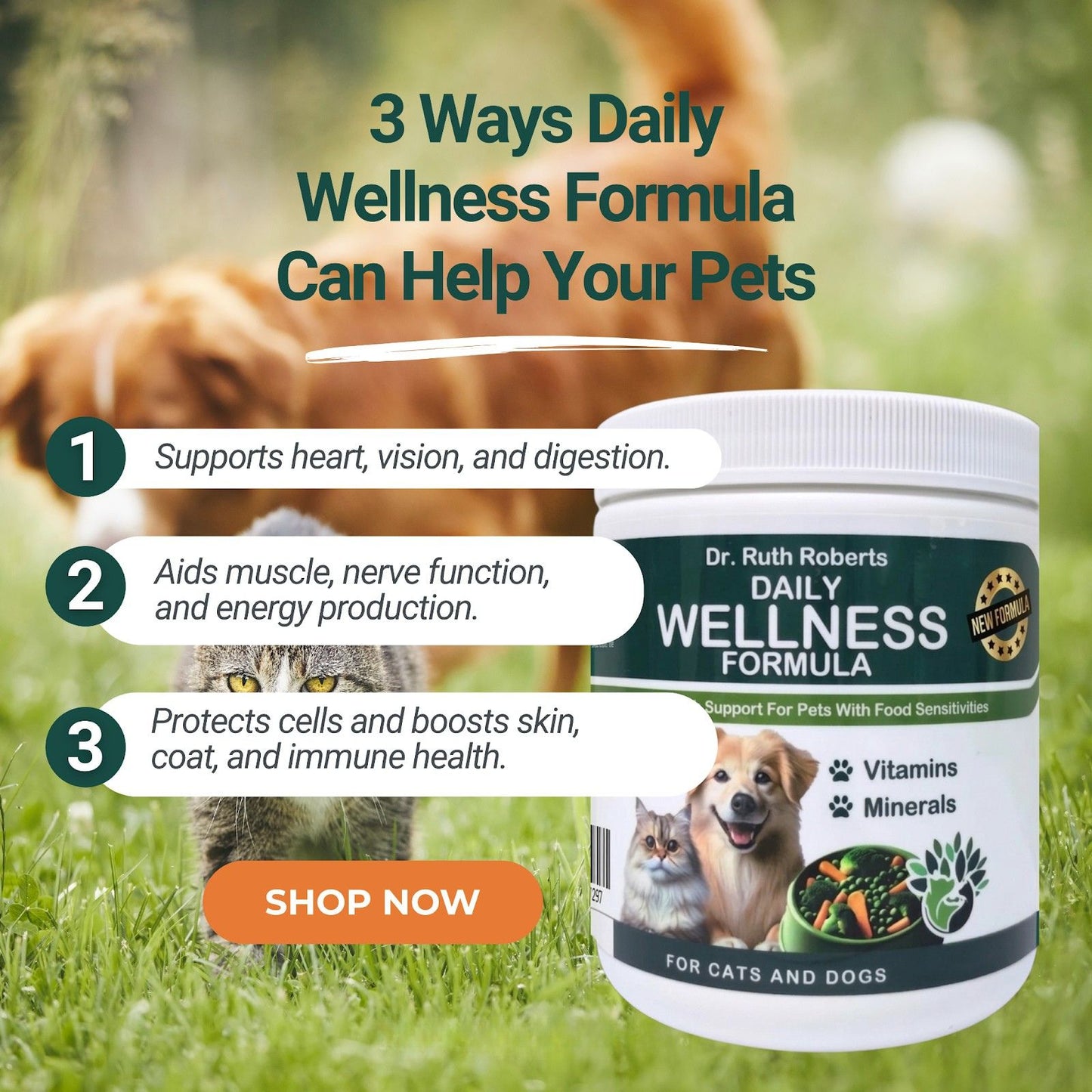 Daily Wellness Formula
