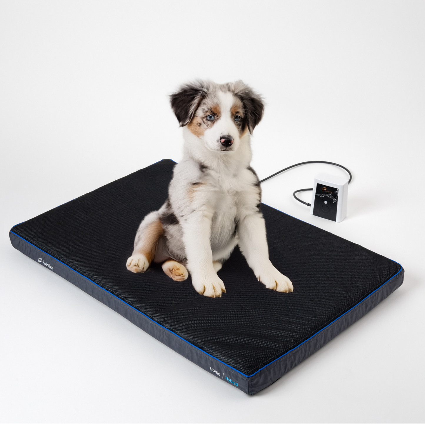 Petspemf RollnRest Bed