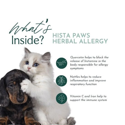 Hista Paws