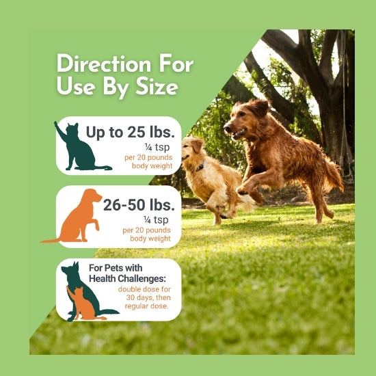 Holistic Total Body Support