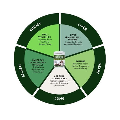 Holistic Total Body Support