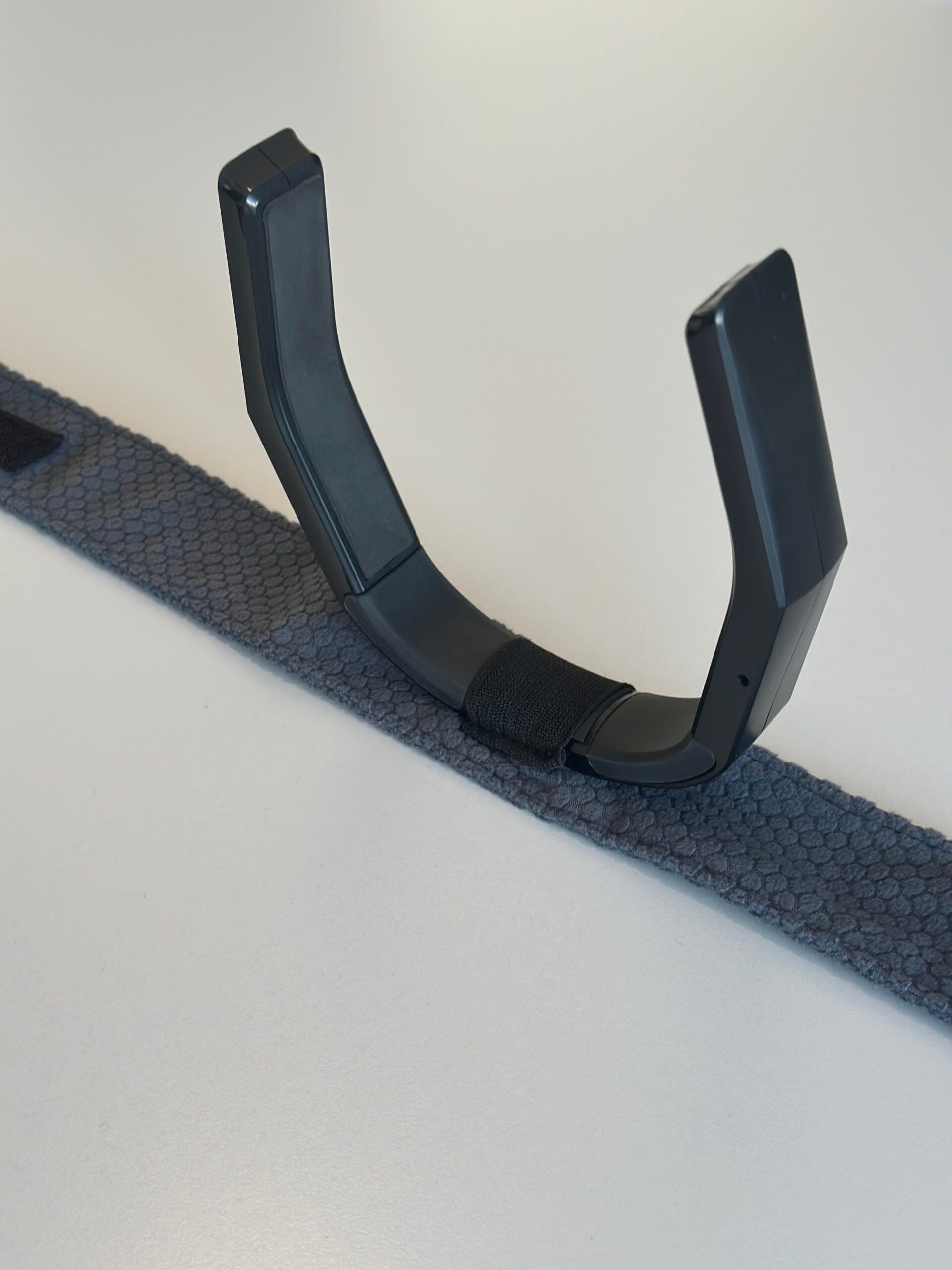 PetLoop PRO worn by pet
