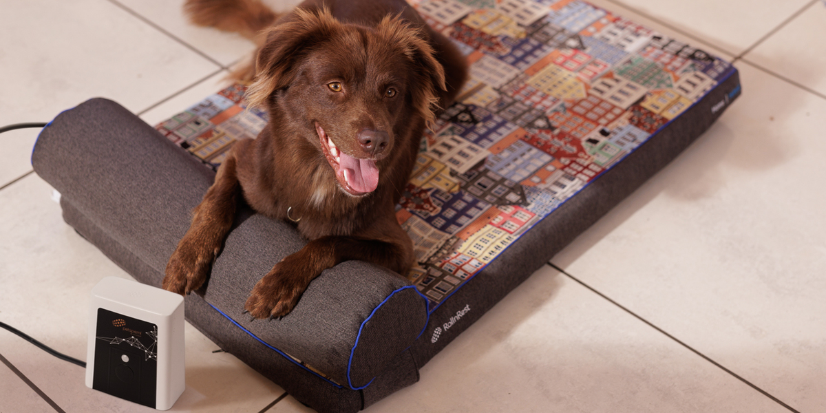 Dog on a Petspemf RollnRest®