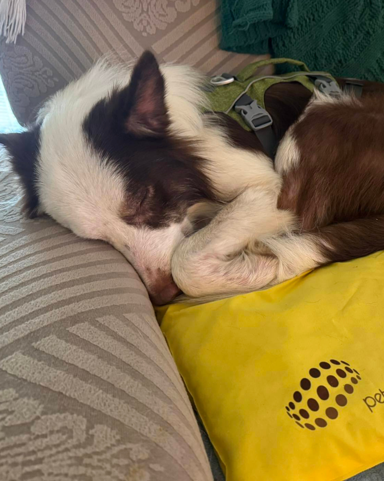 Helping Rusty Decompress