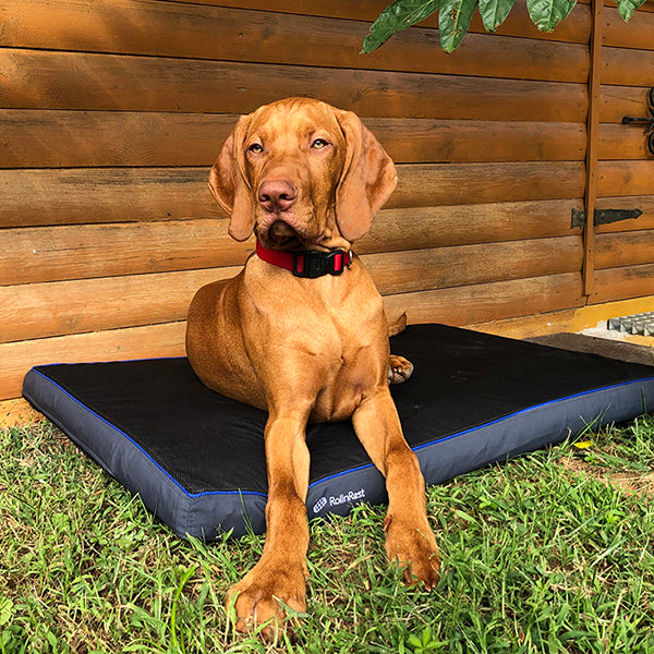 RollnRest Cover Outdoor