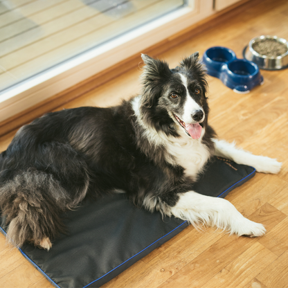 Petspemf Pad