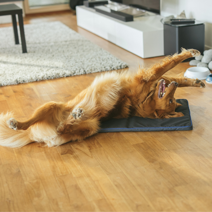 Petspemf Pad
