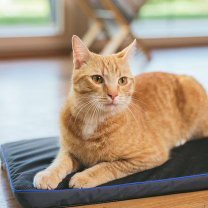 Petspemf Pad
