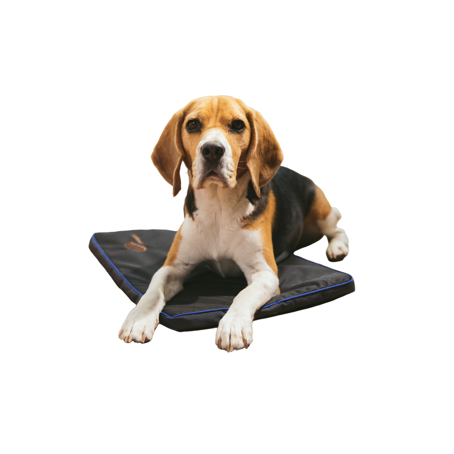 Petspemf Pad