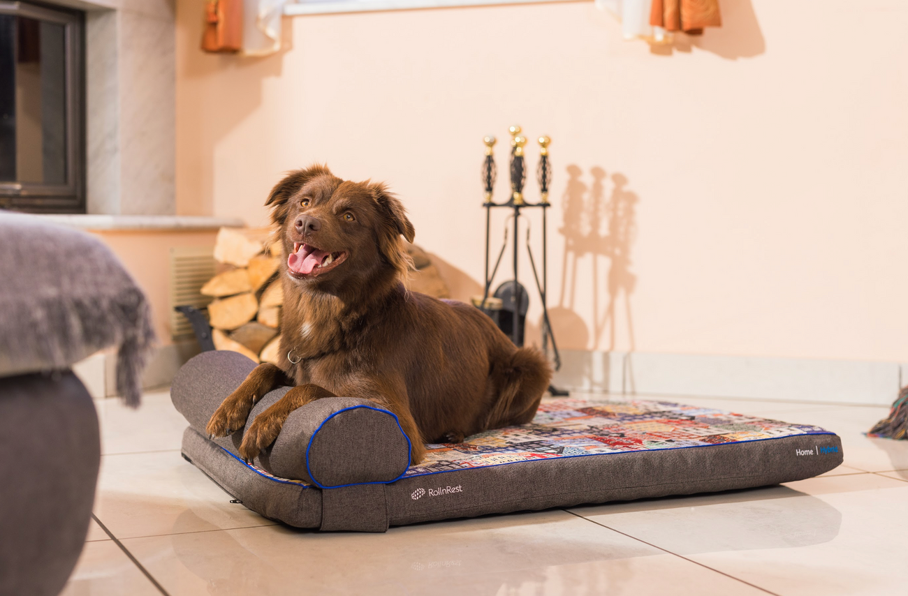 Dog resting on the Petspemf RollnRest