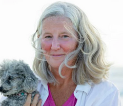 Veterinary professional holding a dog