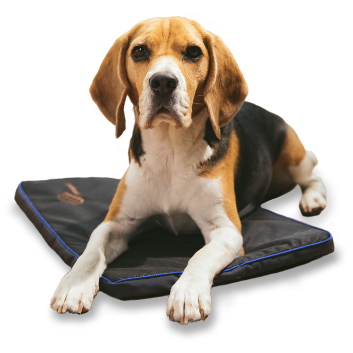 Petspemf® Pad