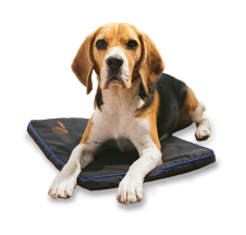 Petspemf Pad - PEMF therapy mat for dogs delivering natural pain relief