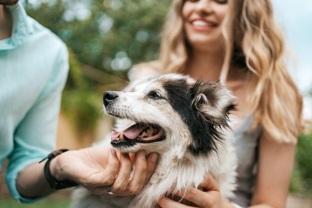 Pet parent with their dog