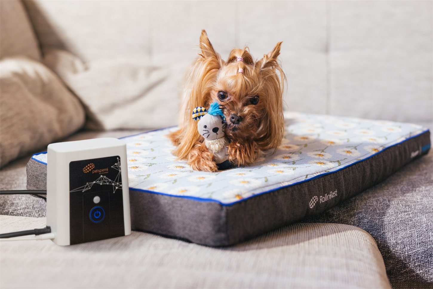 How to set up your new Petspemf Product?